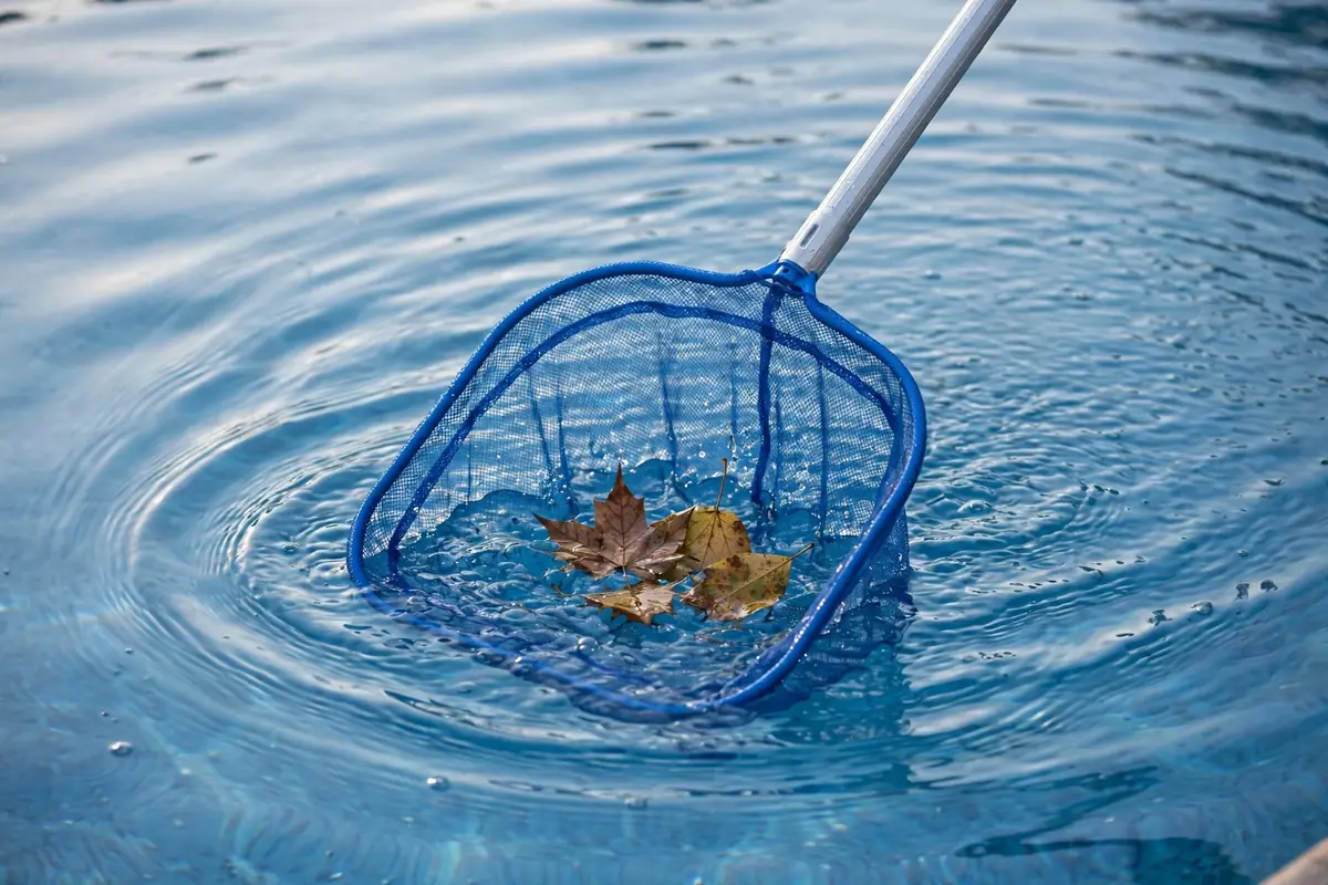 Skimmer net lifting leaves off the glassy morning surface of a pool